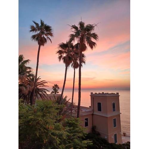 Riccio di Mare - Large and bright flat on the sea