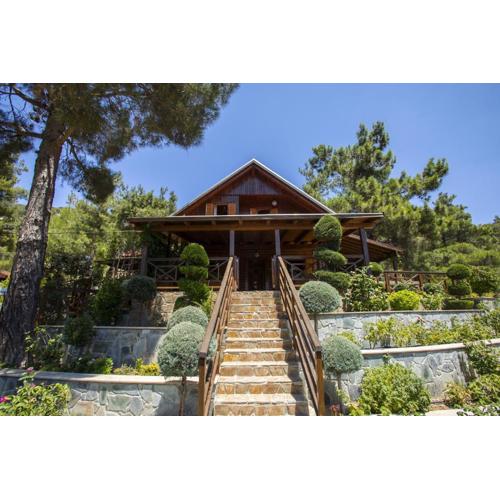 Ricky Chalet Near Troodos