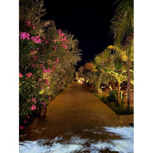 Rida Village Ksamil Island