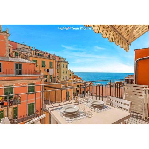 RioDream, Terre Marine