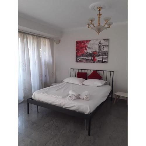 River Tirana Hostel