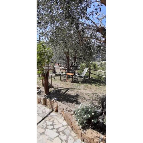 Rivierarent Appartamento Limone