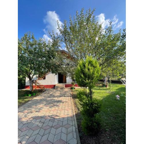 Riza Guest House