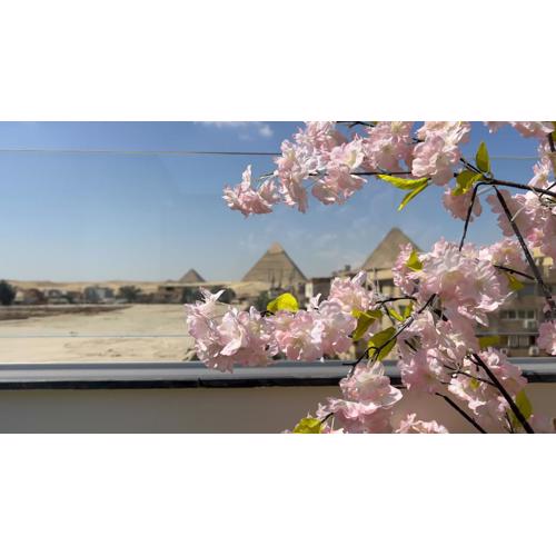 Rizk Pyramids View Hotel