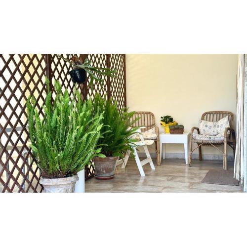 RM03 - Senigallia, trilocale fronte mare