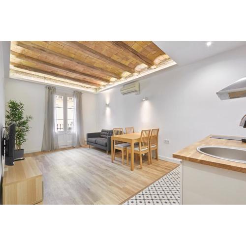 Ro Lively and bright apartment next to Blai st