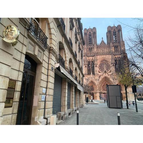 Rocky #cathedraledereims