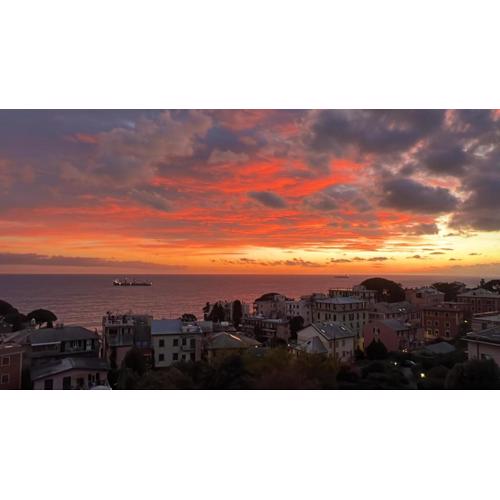 Romantic garden sea view Nervi