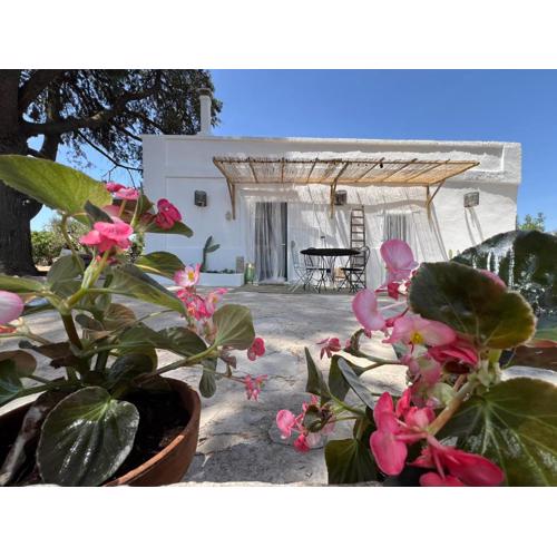 Romantica Villa in Contrada Ulmo