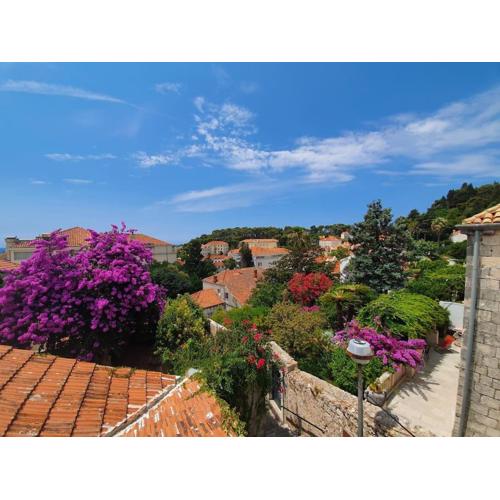Rooftop Apartment - Near the historic center