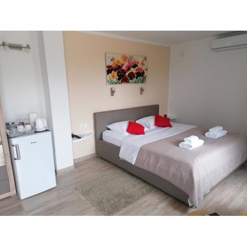 Room ALFA