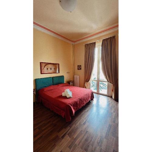 Room in Guest room - Fly in Viareggio beach in front of the famous promenade with shops and establishments