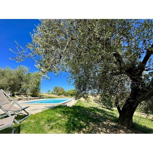 Room in Holiday house - Historic house with swimming pool, barbecue, gym in Senigallia - The Girasole