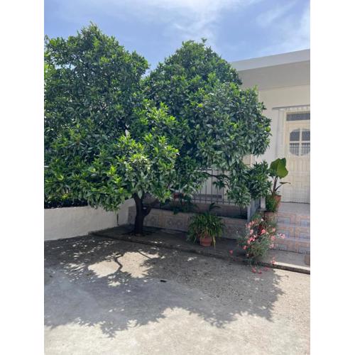 Rooms for rent habipi