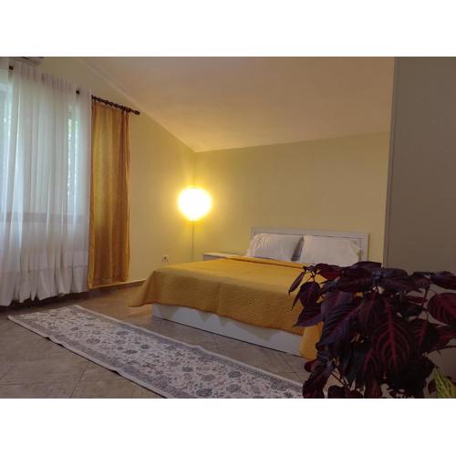 Rooms Xani