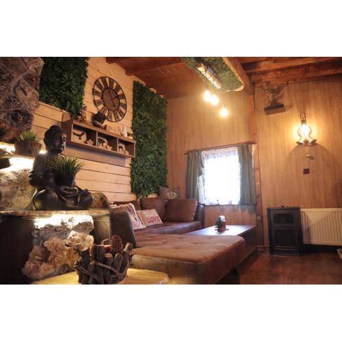 Roots Apartment