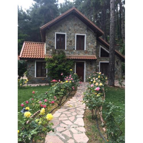 Rose Garden Platres