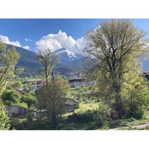 Ruhig in den Bergen Bulgariens