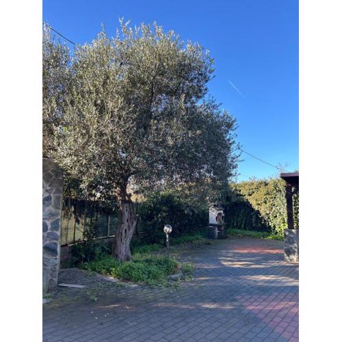 Rural Apartment 44