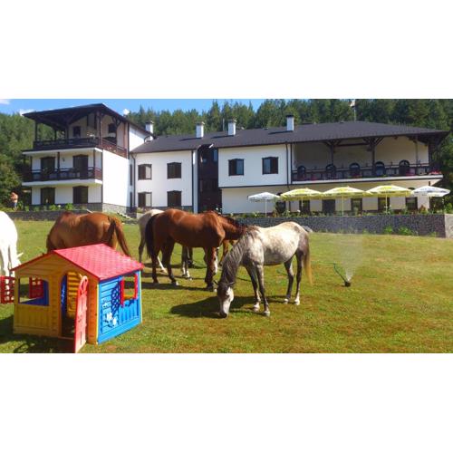 Rusaliite Adventure House