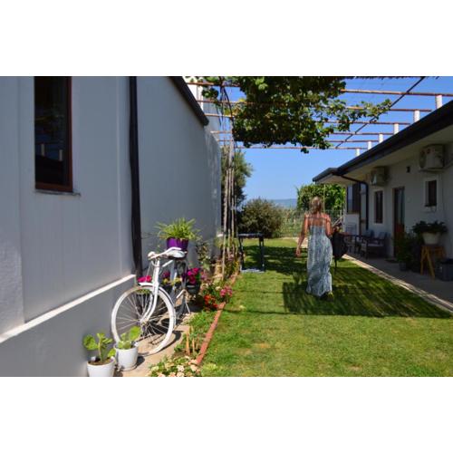 Rustic Tale Guesthouse
