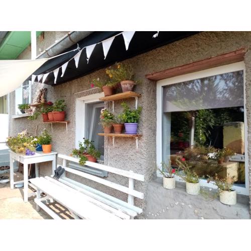 Rustic Village Retreat