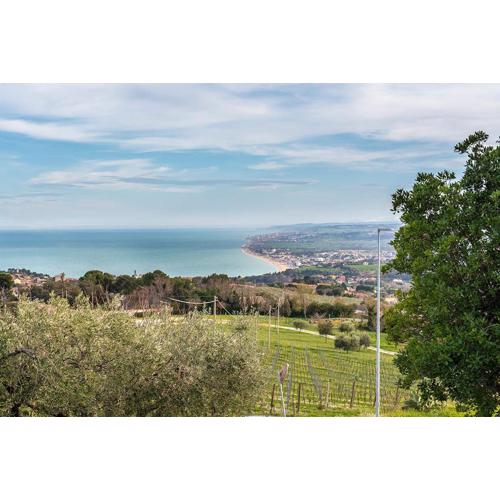 S294 - Sirolo, meraviglioso trilocale con terrazzo e vista mare