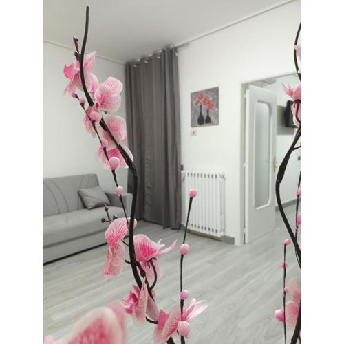 Sabrina Giglio Apartment
