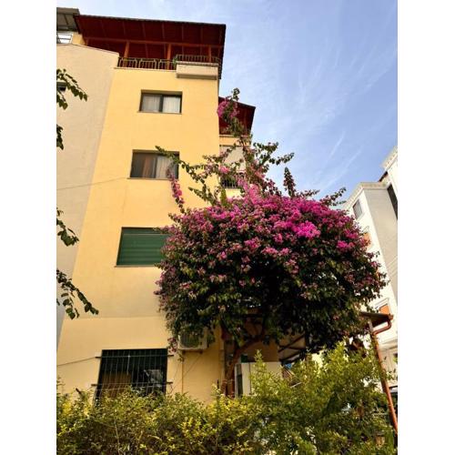SAG Apartment\