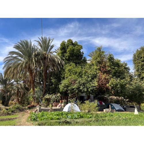 Salatoos Mango Garden and Guesthouse