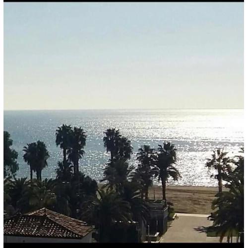 salou alexis II