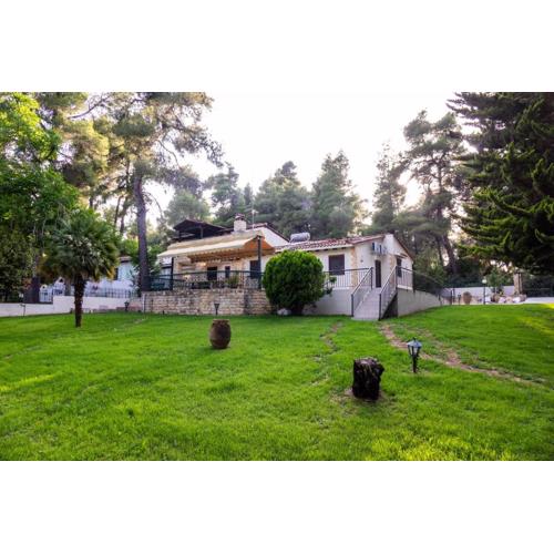 Sani Traditional Forest Villa