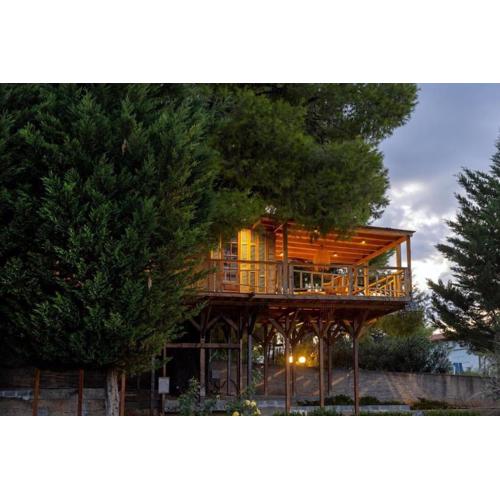 Sani Tree House