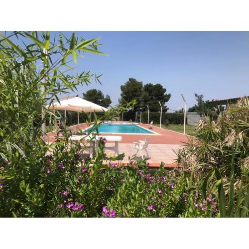 Sans-souci