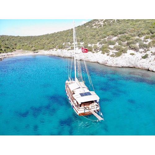 Saraçoğlu vip bodrum