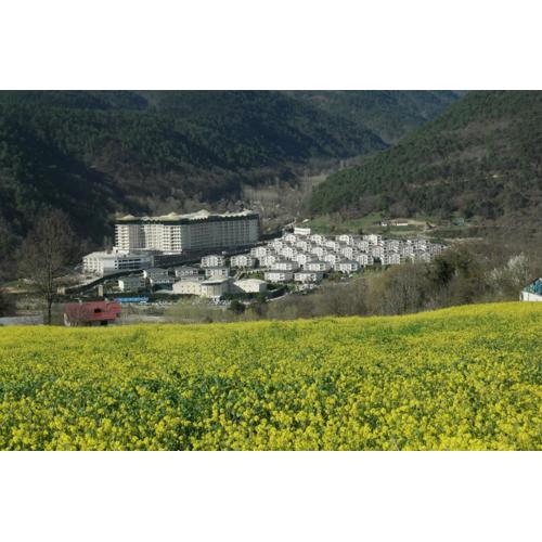 Sarot Thermal Vadi Tatil Koyu - Halal Hotel