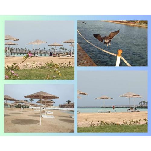 Scandic Resort: Comfy & Cozy. A433