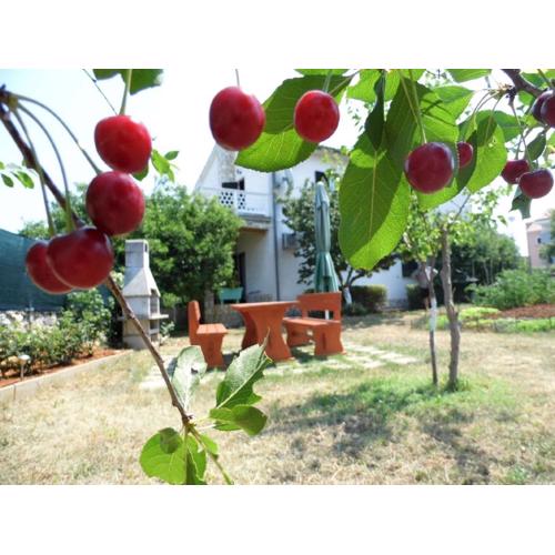 schöne Wohnung im Erdgeschoss, geeignet für Kinder Es hat schöne Terrasse und großen geräumigen Garten mit Grill