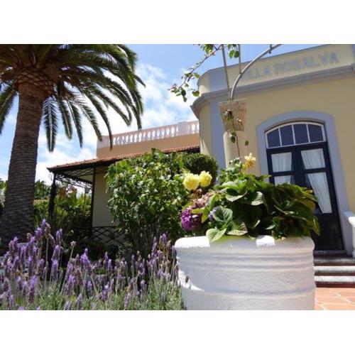 Schöne Wohnung Mit Garten In Puerto De La Cruz