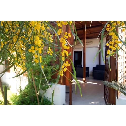 Sea Breeze Villa - Sole apartment