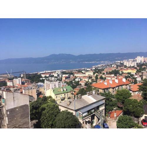 Sea City View w/ 2Bd 1Bt Free Street Parking