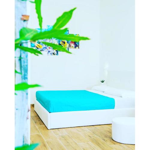 Sea Dream Camere