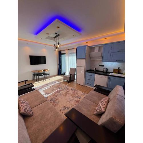 Sea Life Homes