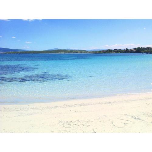 Sea Love
