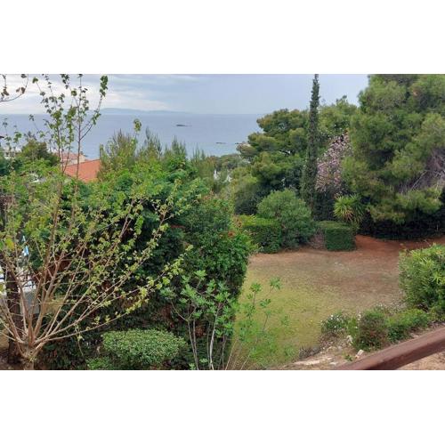 Sea Satin Anavyssos