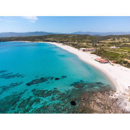 Sea Shell - Klodge