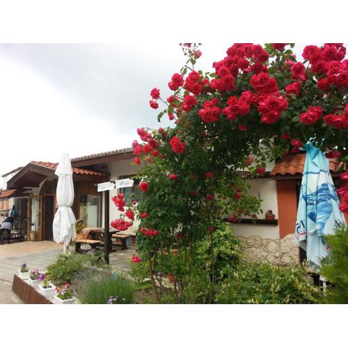 Sea View Family Hotel