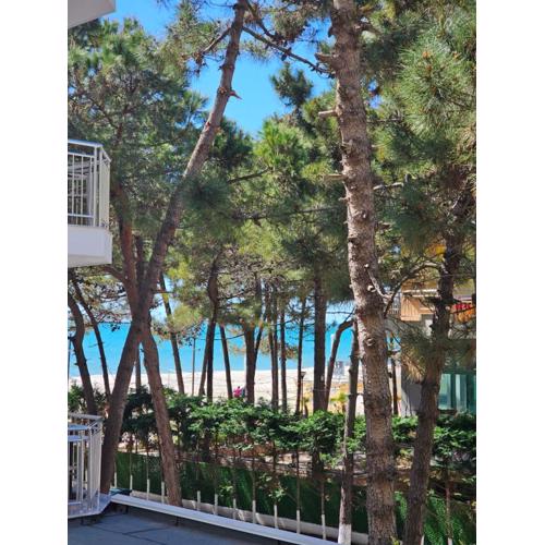 Sea View Green Apartment Golem