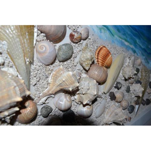 Seashell Art Decor Studio & Parking