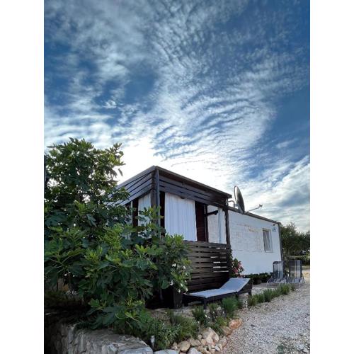 Seaside holiday house Drage, Biograd - 23157